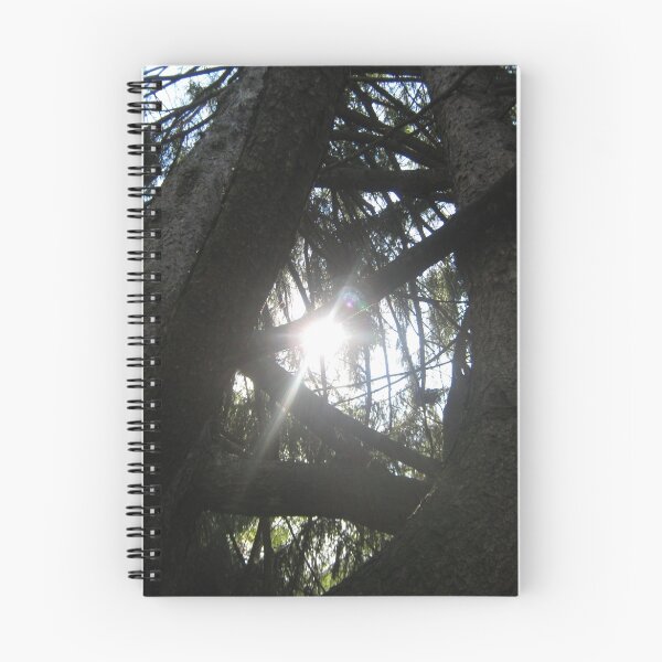 Item preview, Lit From Within designed and sold by Quinn Blackburn.