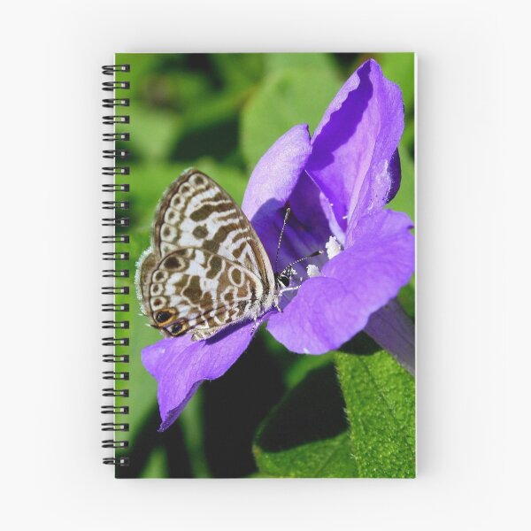 Item preview, The Plumbago Blue designed and sold by robmac.