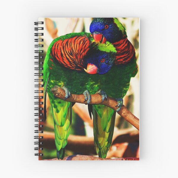 Item preview, Lorikeet Love designed and sold by Michael Lehman.