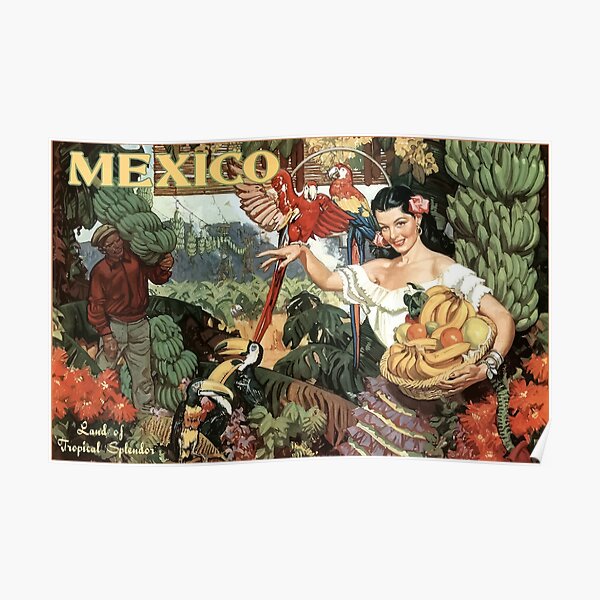 Vintage Travel Poster Mexico Poster