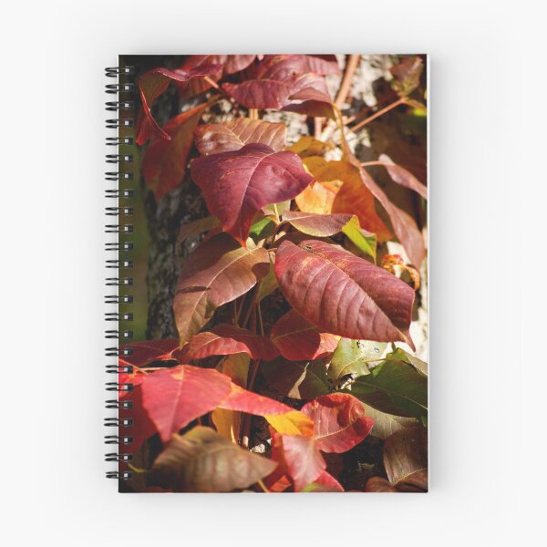 Artikelvorschau, must love fall. entworfen und verkauft von ClickLikeWhat.