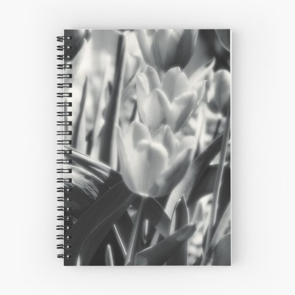 Item preview, Morning designed and sold by MLabuda.