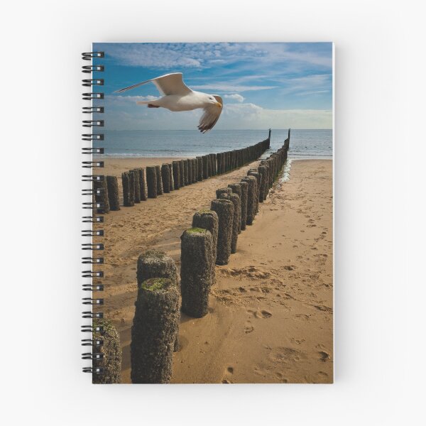 Item preview, Flying Solo designed and sold by George Parapadakis ARPS (monocotylidono).