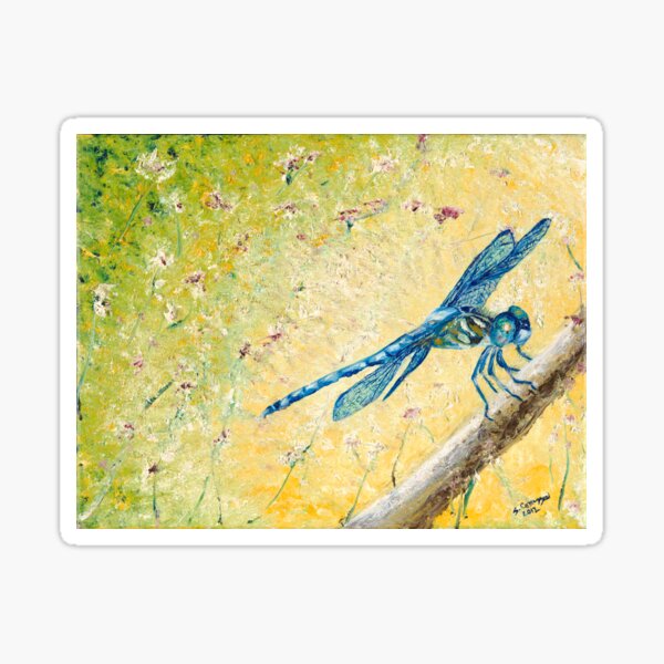Dragonfly - Take Off Sticker