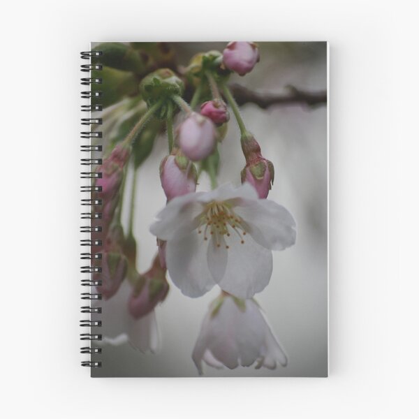 Item preview, Cherry blossom  designed and sold by Declan Carr.