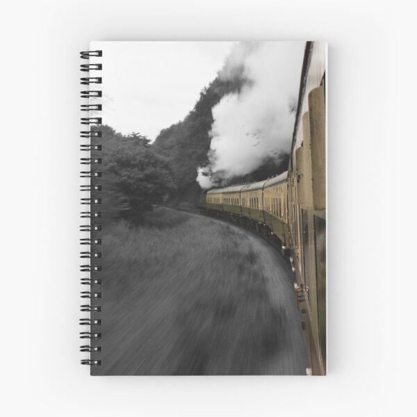 Aperçu de l'œuvre South Devon Railway créée et vendue par Mark Bird.
