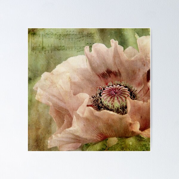 Item preview, In the garden ... designed and sold by Dominic Moriarty.