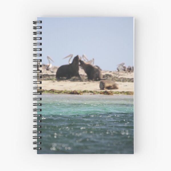 Item preview, Seal Island designed and sold by Mark Bird.
