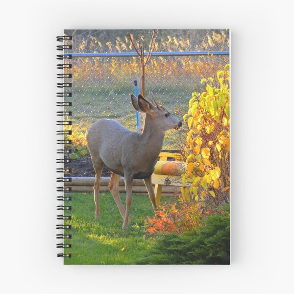 Item preview, Autumn Baby Buck designed and sold by ABPhotoArt.