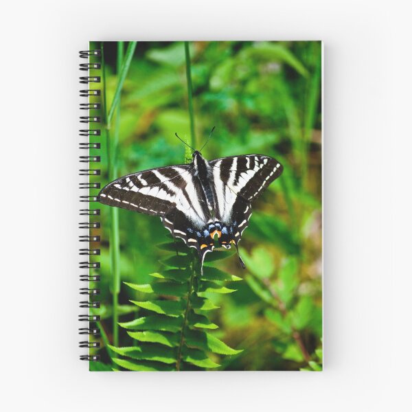 Artikelvorschau, Summer Butterfly entworfen und verkauft von Kimberly Deverell.