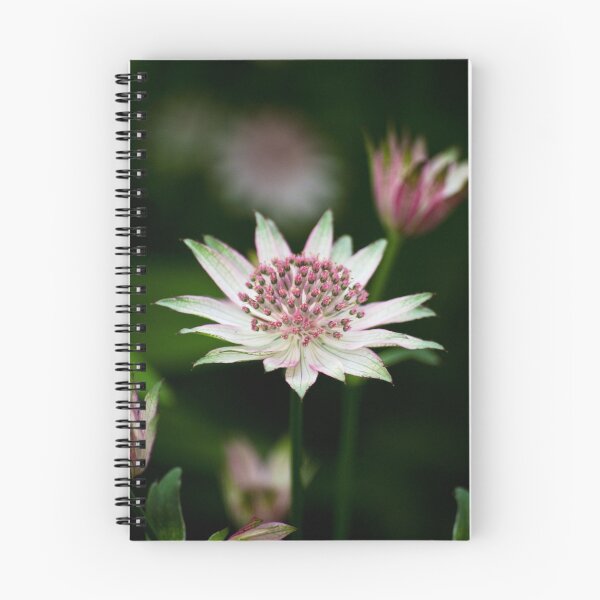 Item preview, Untitled designed and sold by Kimberly Deverell.