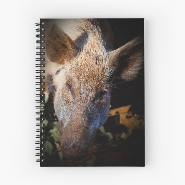 Aperçu de l'œuvre Curious  créée et vendue par GiftsOfNature.