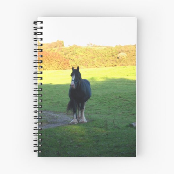 Item preview, Horse in Late Afternoon designed and sold by Ray Vaughan.