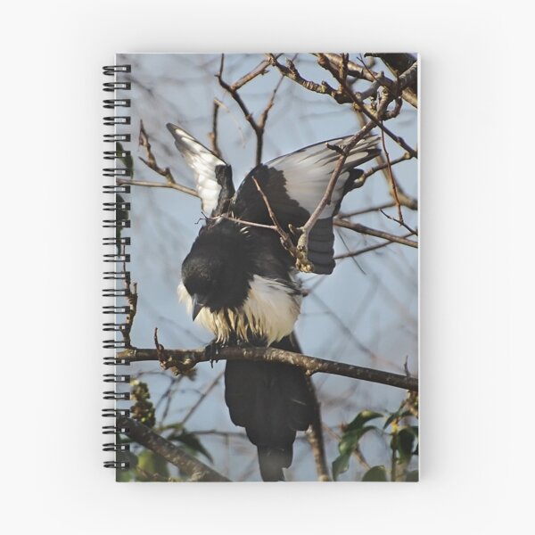 Item preview, Magpie  designed and sold by Declan Carr.