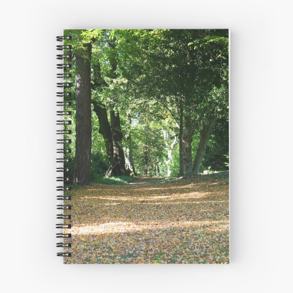 Artikelvorschau, Autumn Path entworfen und verkauft von Liam O'Brien.