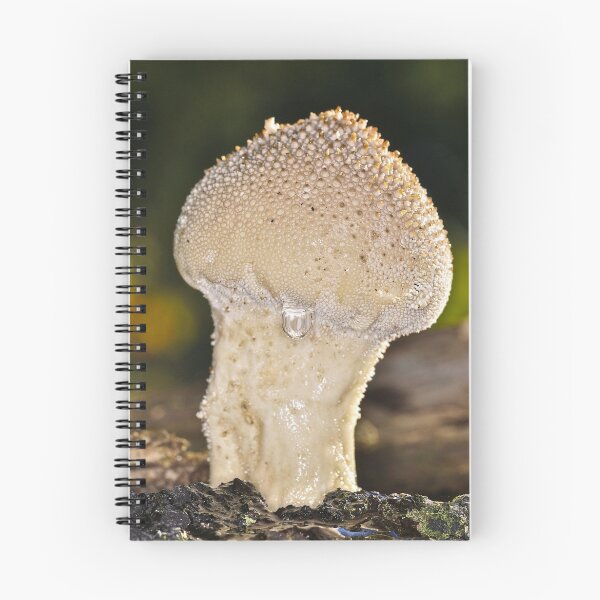 Item preview, Morning Fungi designed and sold by Image123.