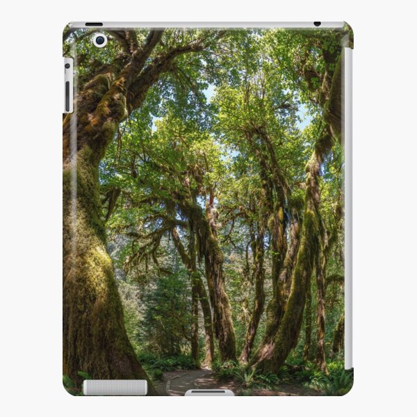 Hoh Rainforest iPad Snap Case