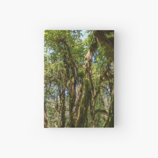 Hoh Rainforest Hardcover Journal