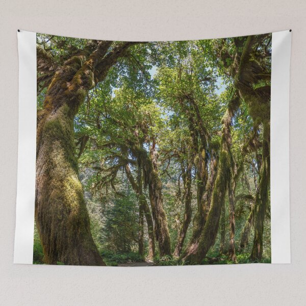 Item preview, Hoh Rainforest designed and sold by beland.