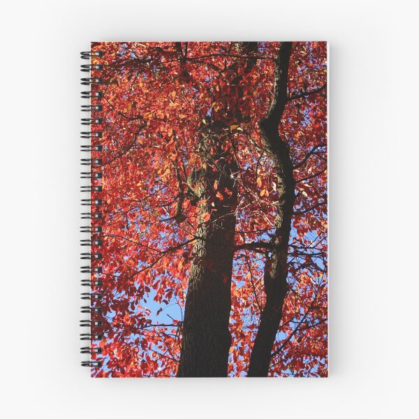 Item preview, Autumn All Ablaze designed and sold by Lisa Putman.