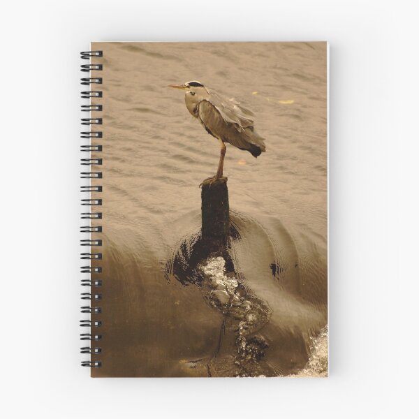 Item preview, Heron on the weir designed and sold by mikeloughlin.
