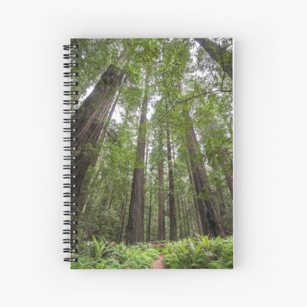 Redwoods Spiral Notebook