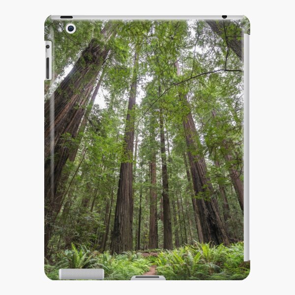 Redwoods iPad Snap Case
