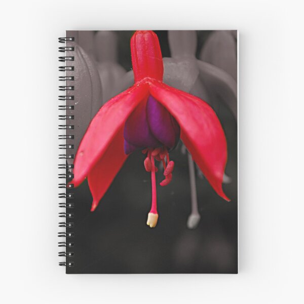 Item preview, Selective and Bright designed and sold by Kerensa Davies.