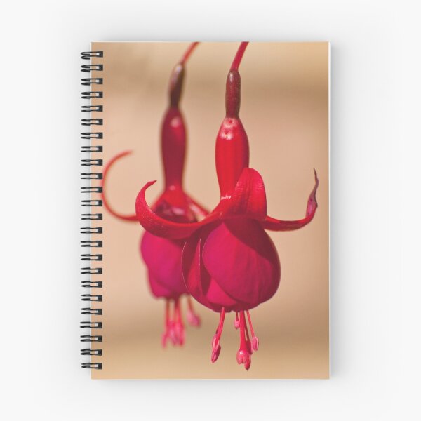 Item preview, Red Fuschias designed and sold by Chris Thaxter.