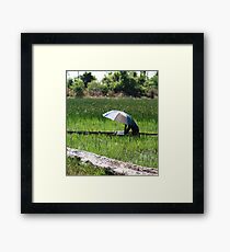 Okavango Delta, Botswana Framed Print