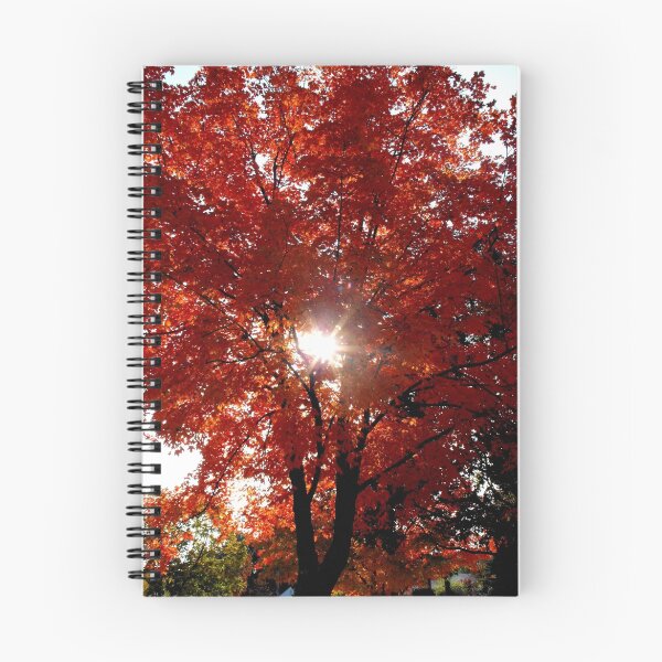 Item preview, Morning Sun in Tree designed and sold by WhiteOak Art Designs.