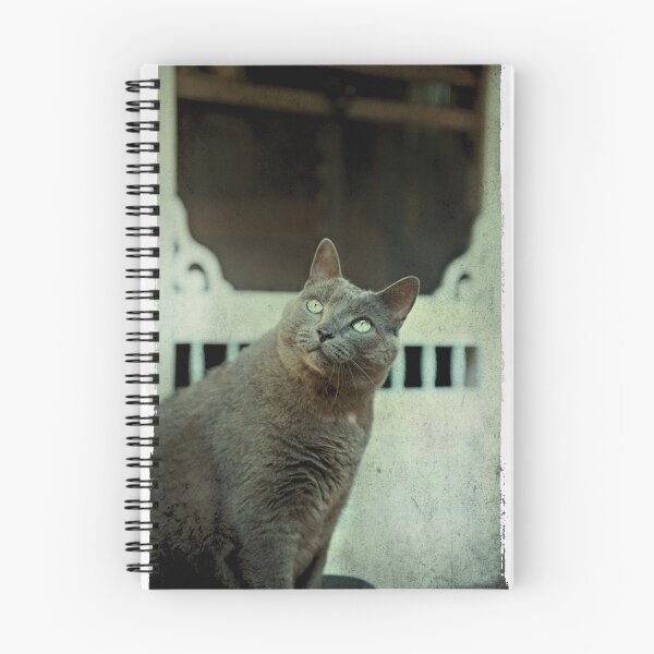 Item preview, Gorgeous George designed and sold by James L. Brown.