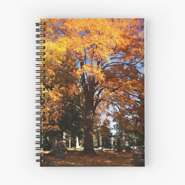 Item preview, autumn respite designed and sold by janetlee.
