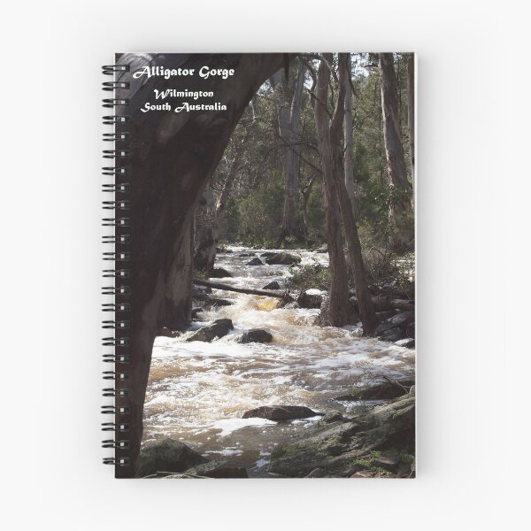Item preview, Alligator Gorge - Wilmington South Australia designed and sold by Linda Hitch.