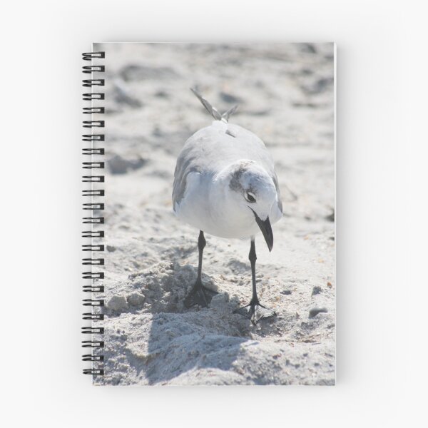 Item preview, Beach Inspector designed and sold by Dana Yoachum.