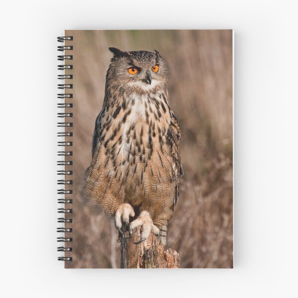 Item preview, Eagle owl  designed and sold by Val Saxby.