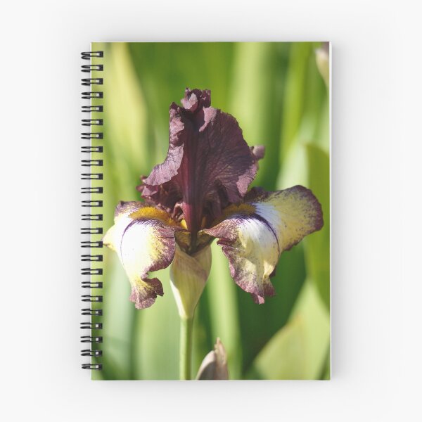 Item preview, My iris designed and sold by Sharon McRae.