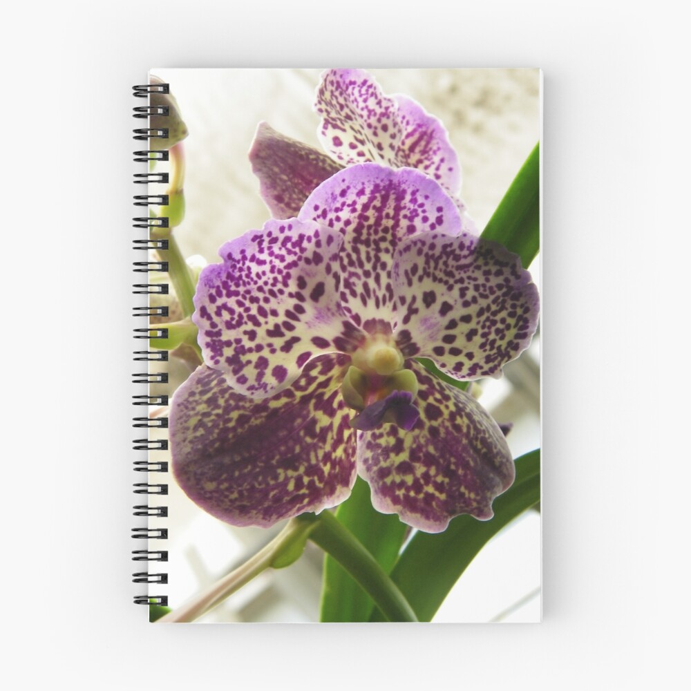Item preview, Spiral Notebook designed and sold by bmroos.