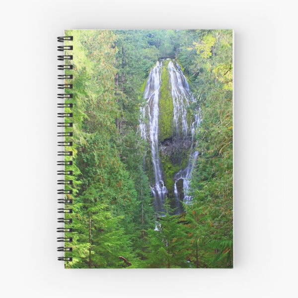 Artikelvorschau, Another look at Proxy Falls entworfen und verkauft von AdventureGuy.