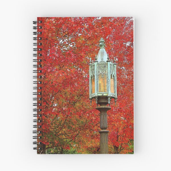 Item preview, Light Post in Fall designed and sold by Rodney Williams.