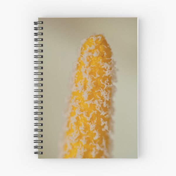 Item preview, Callalily Macro designed and sold by Kellie Metcalf.