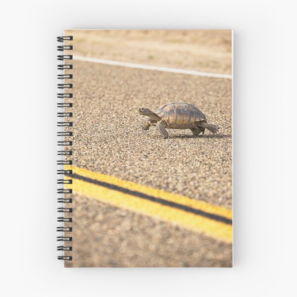 Item preview, Mojave Desert Tortoise  designed and sold by Katie Krutzner.
