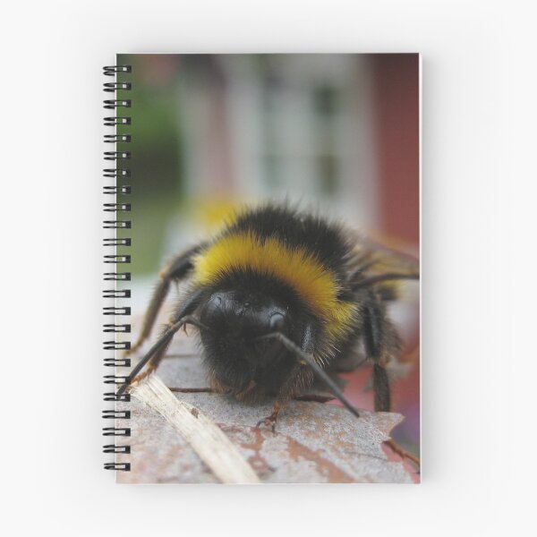 Item preview, Swedish Bumblebee - Ystad, Sweden designed and sold by Nina Brandin.