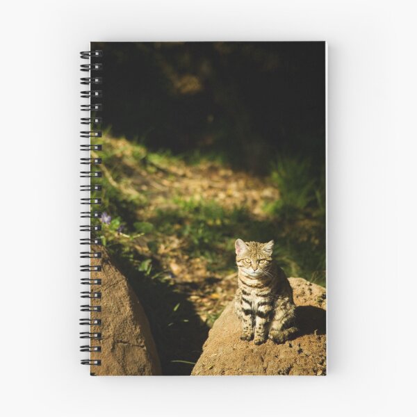 Item preview, African Black Footed Cat designed and sold by Katie Krutzner.
