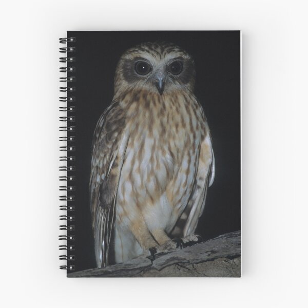 Item preview, Southern Boobook designed and sold by naturalnomad.