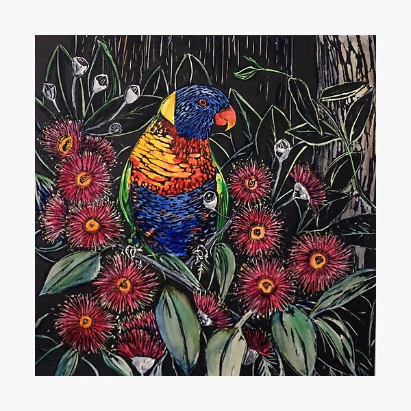 Rainbow Lorikeet and Gum Blossom Photographic Print