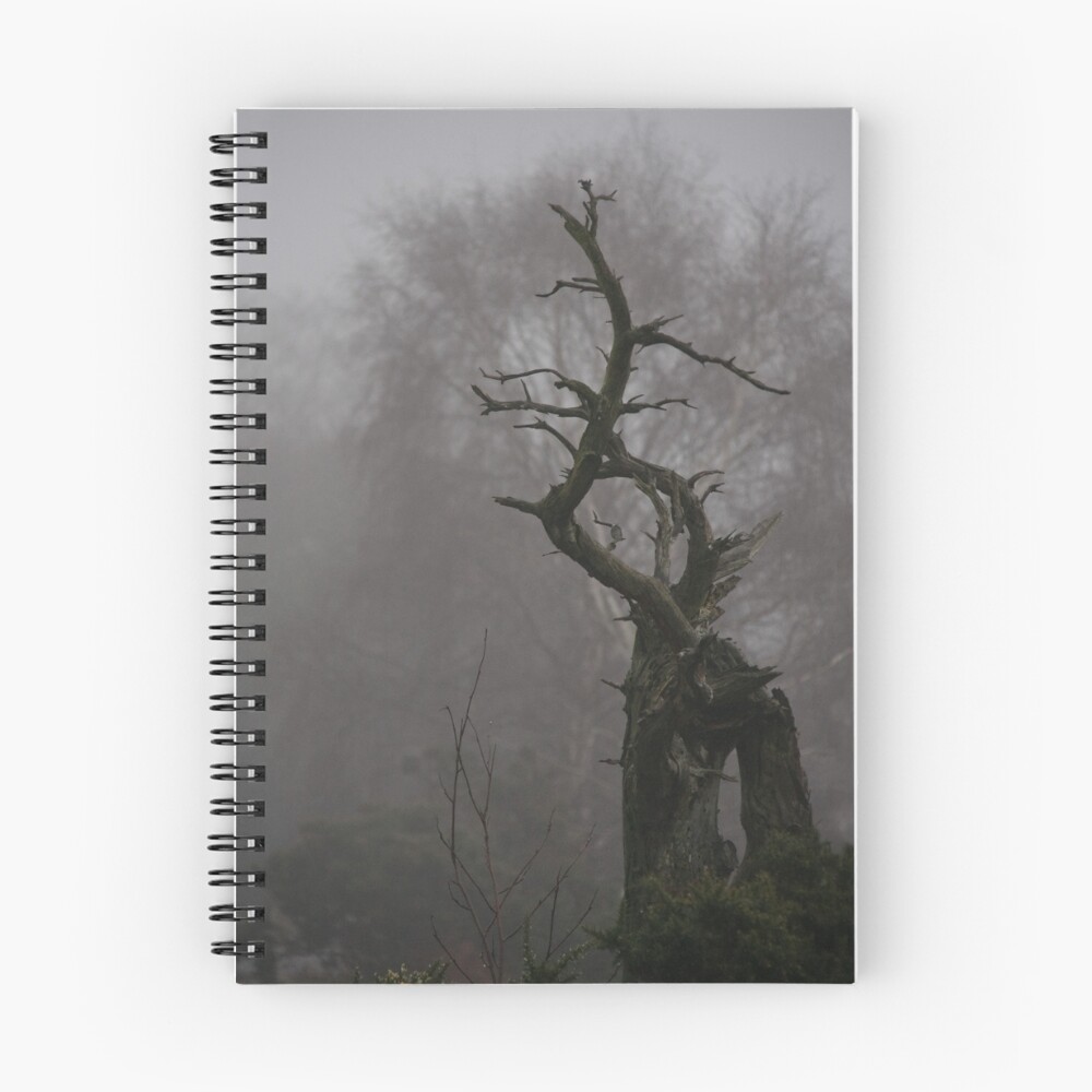 Item preview, Spiral Notebook designed and sold by Jenbee.