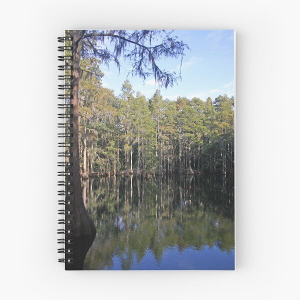 Item preview, Cypress Tree Reflections designed and sold by RebeccaBlackman.