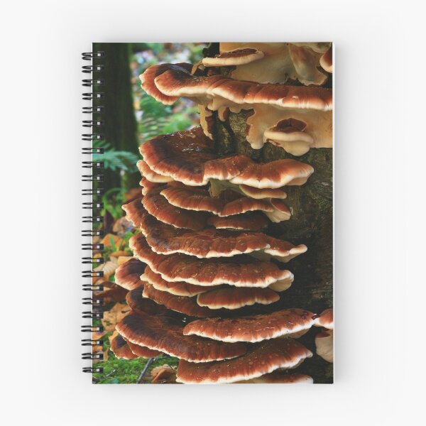Item preview, SHELF FUNGI designed and sold by Chuck Wickham.