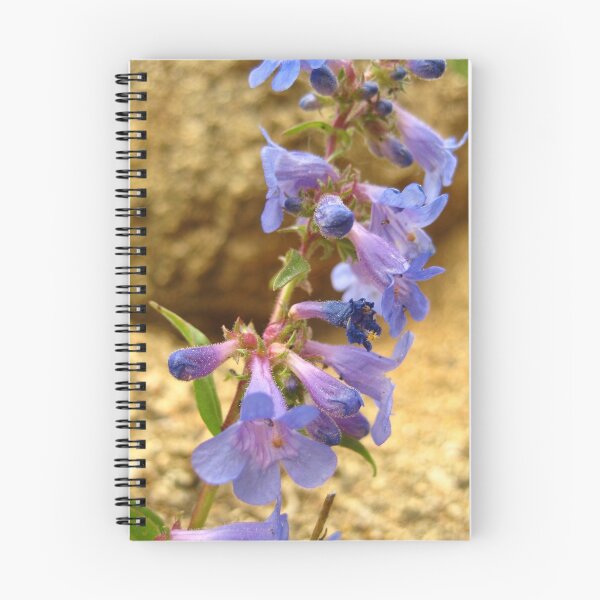 Item preview, Flower - Mt. Evans, Colorado designed and sold by Nina Brandin.